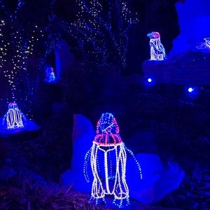 Meet your Posher, Kristin